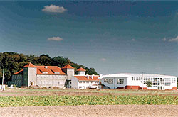 Szkoła Podstawowa